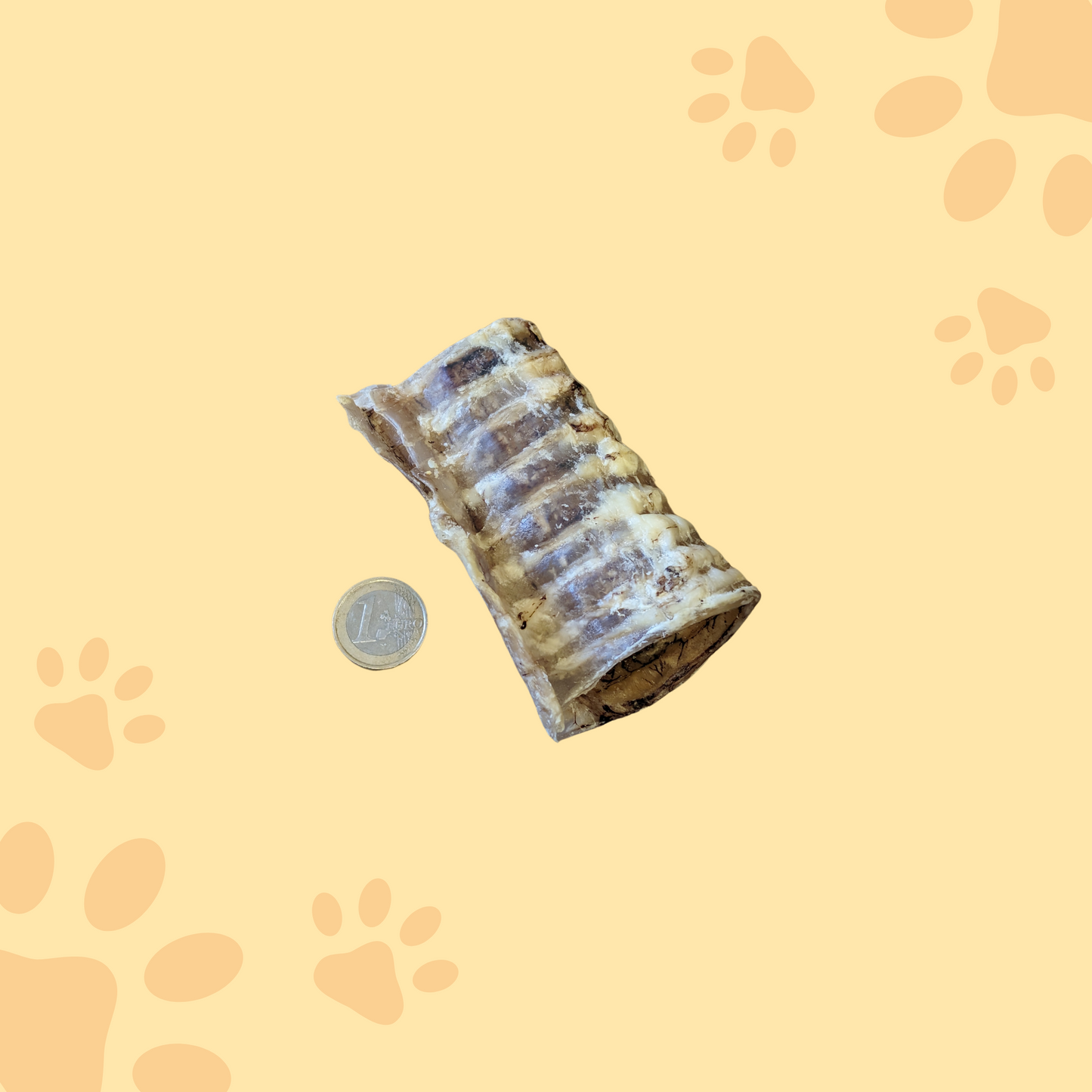 Trachée de boeuf 10-15cm