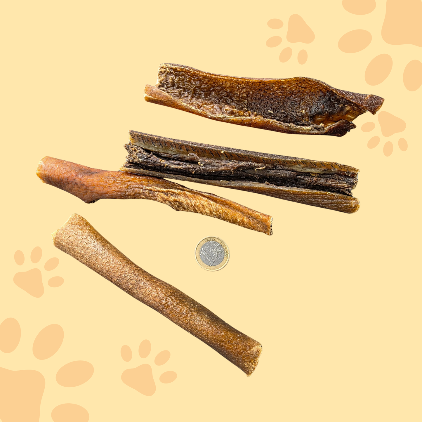 Peau de sanglier 15cm