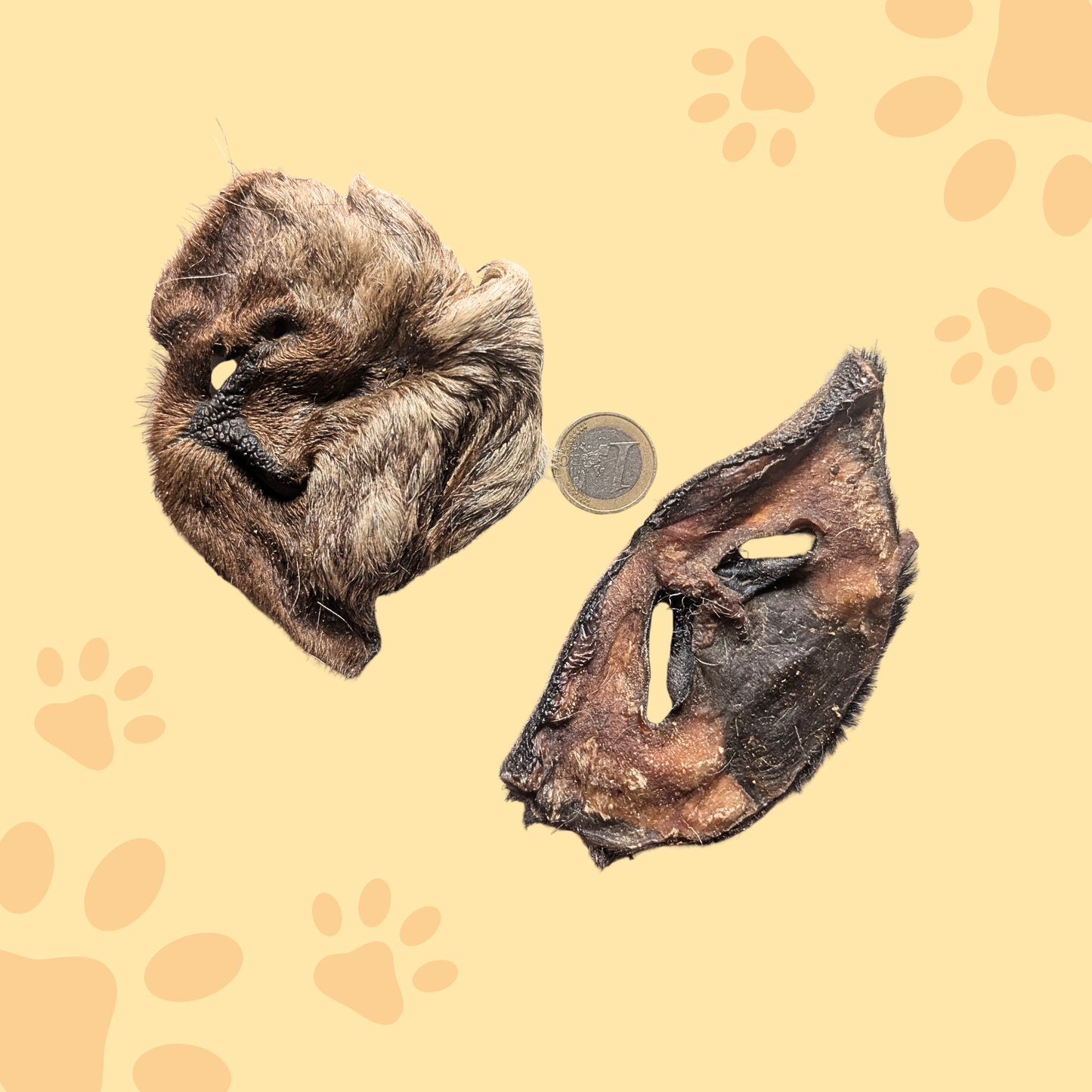 Museau chèvre avec poil