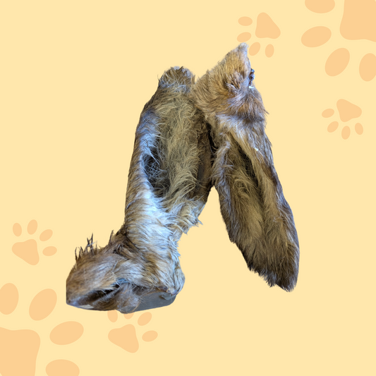 Oreille de cerf avec poils