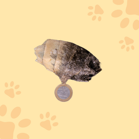 Rouleau de peau de cabillaud