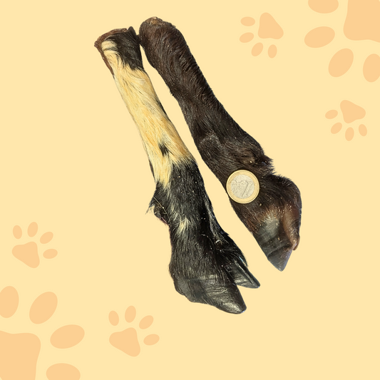 Patte agneau avec poil