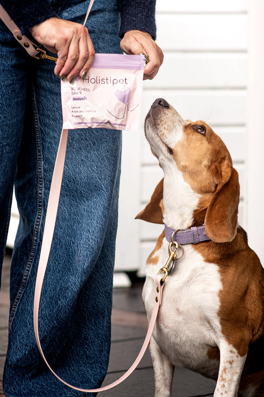 Bouchées Beauté Peau et Poils Holistipet