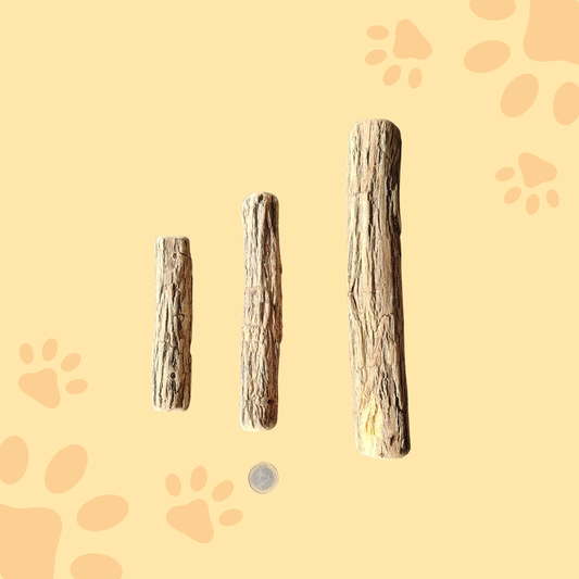 Bois de Sekelbos pour chien