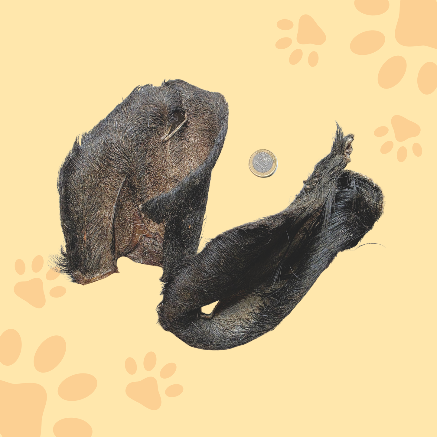 Petite oreille de bœuf avec poils