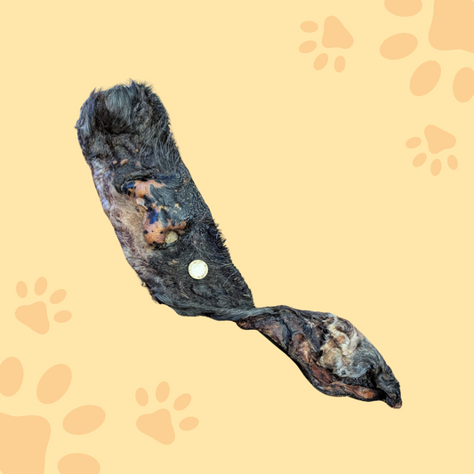 Giga museau bœuf avec poil