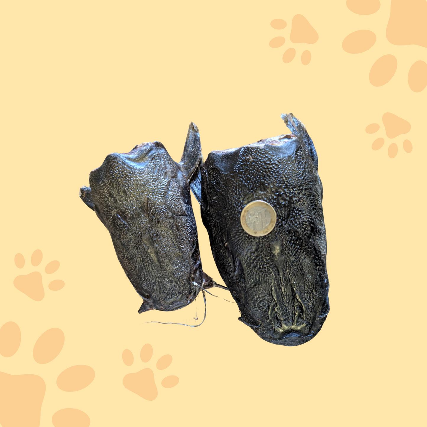 Tête de poisson-chat