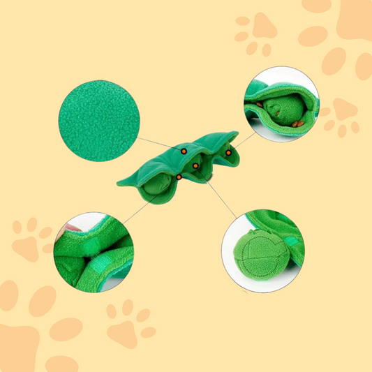 Petit pois de fouille