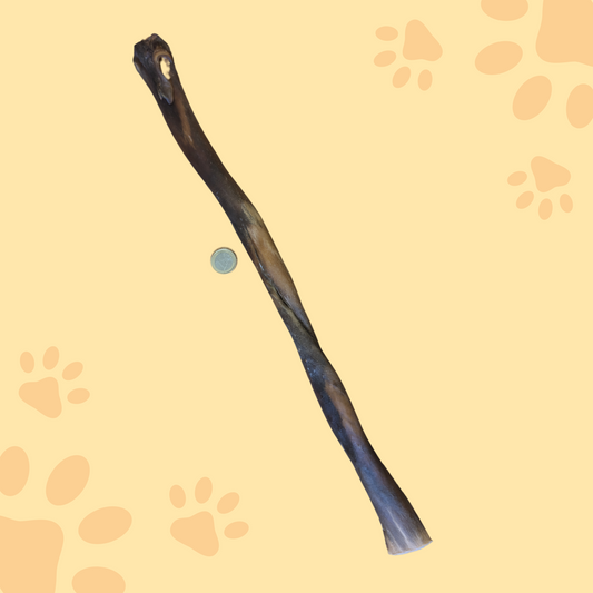 Stick de peau de boeuf 50cm