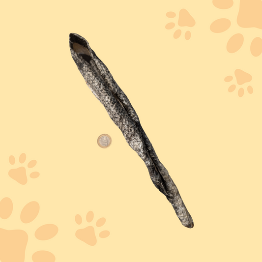 Peau de saumon 45cm sans viande