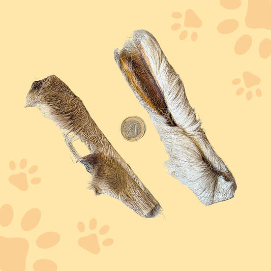 Peau de boeuf avec poils 15cm