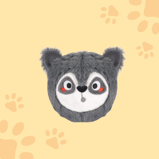 Zoo Ball – Raton laveur