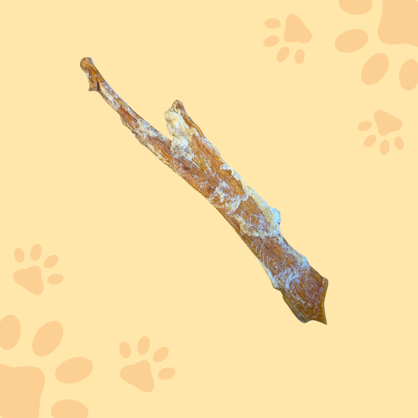 Tendon de bœuf XL