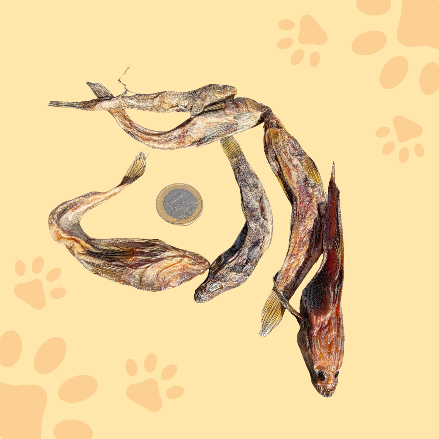 Gobies