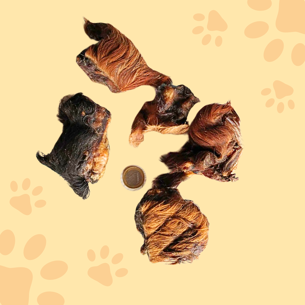 Brisure de peau de boeuf avec poils 5cm