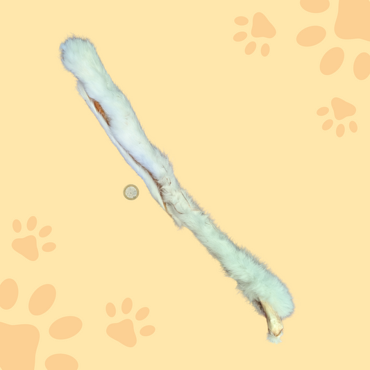 Peau de lapin avec poils XXL 50cm