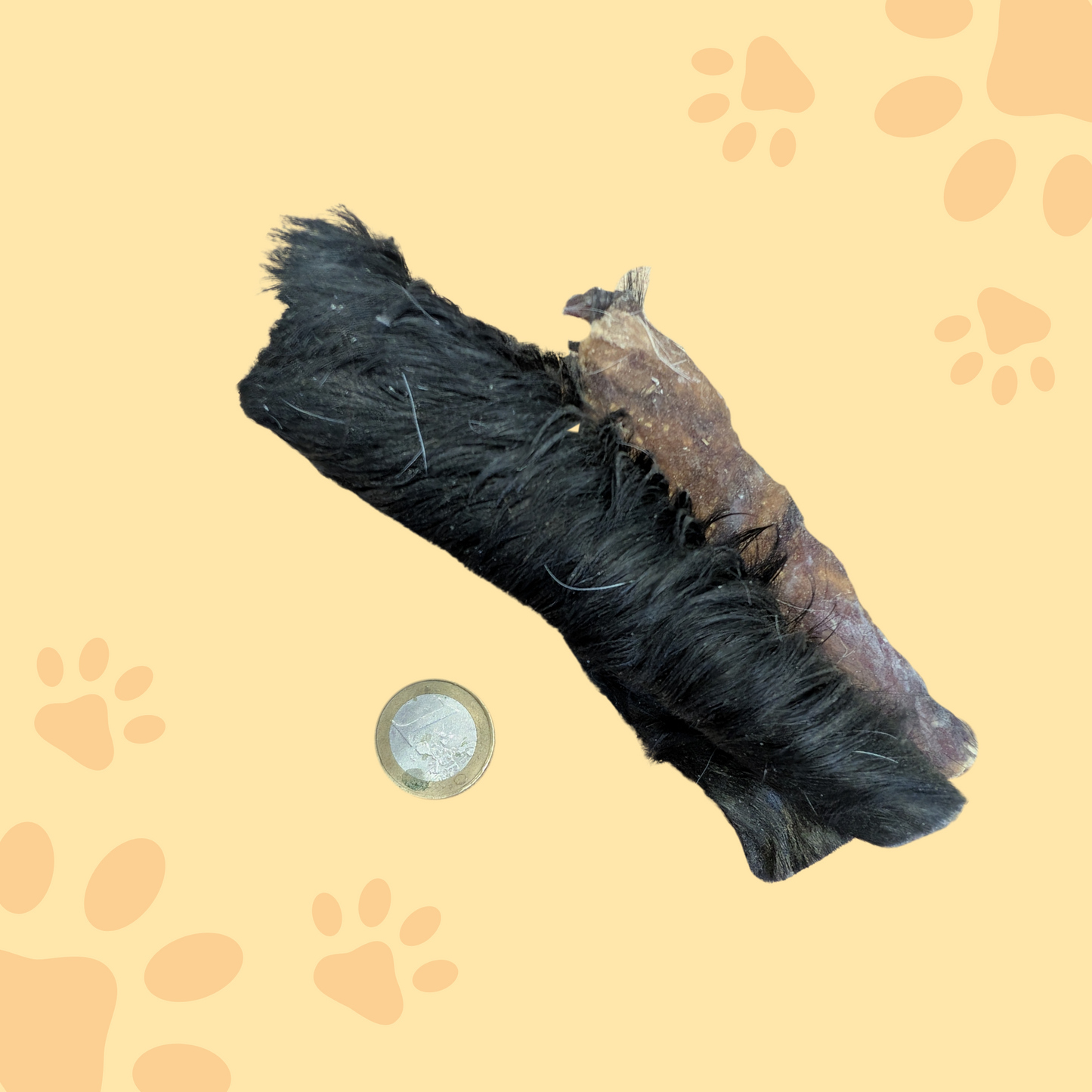 Peau de boeuf avec poil 15cm