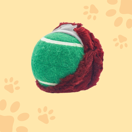 Zoo Ball – Renard