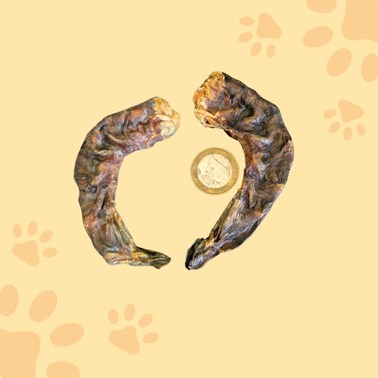 Queue de crevette XXL