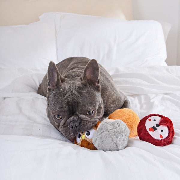 Zoo Ball – Renard