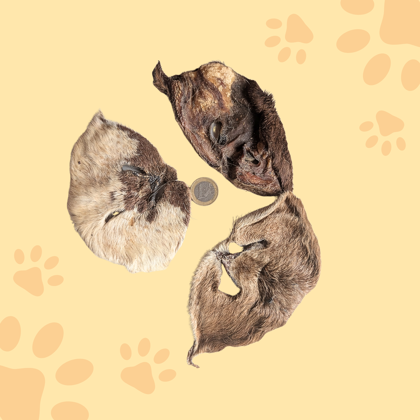 Museau agneau avec poil