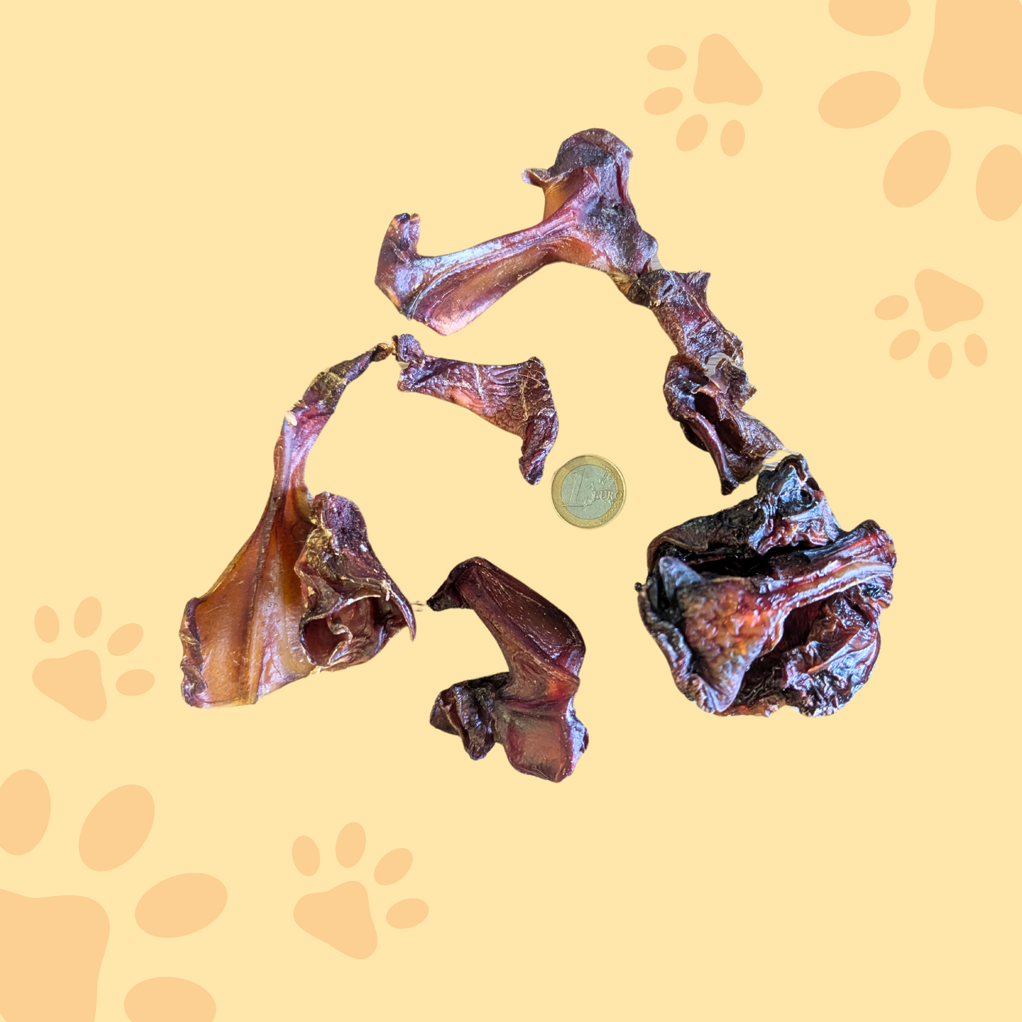 Cartilage nasal de boeuf