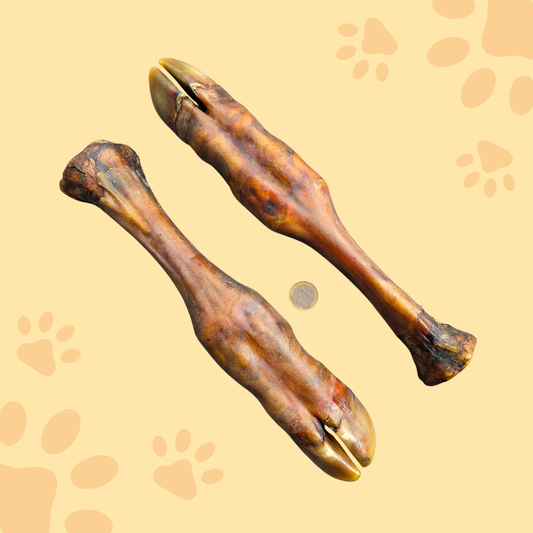 Patte de veau