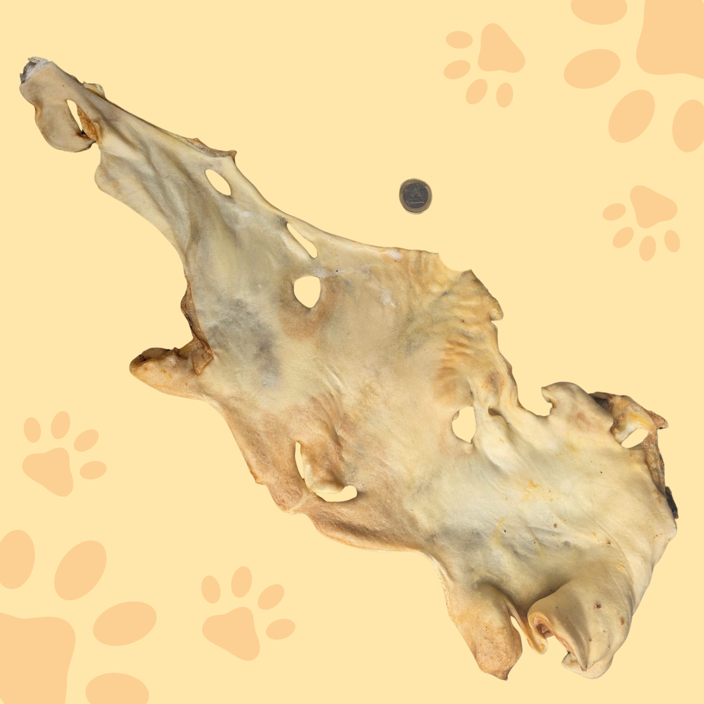 Plaque de peau de tête d'agneau