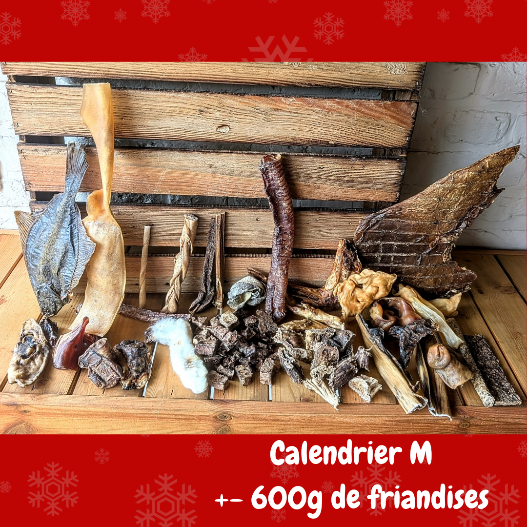 Calendrier de l'Avent pour chien