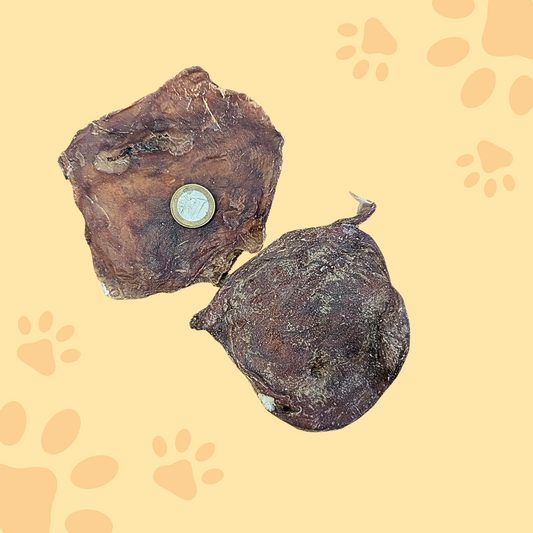 Vessie de veau plate