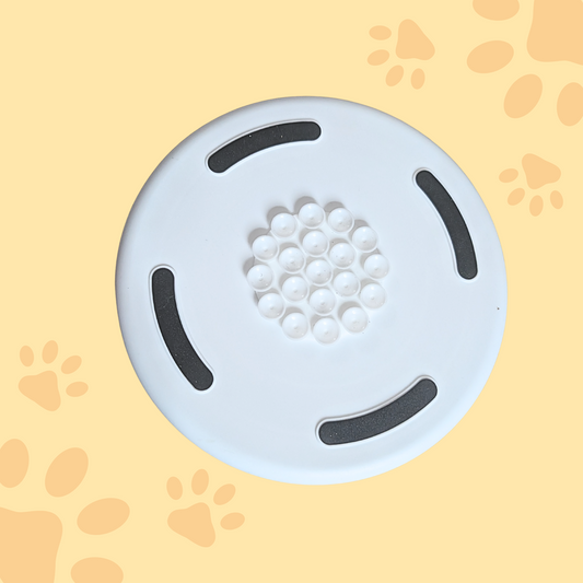 Gamelle puzzle coquillage