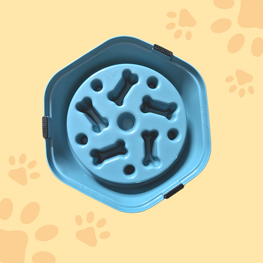 Gamelle antiglouton hexagonale