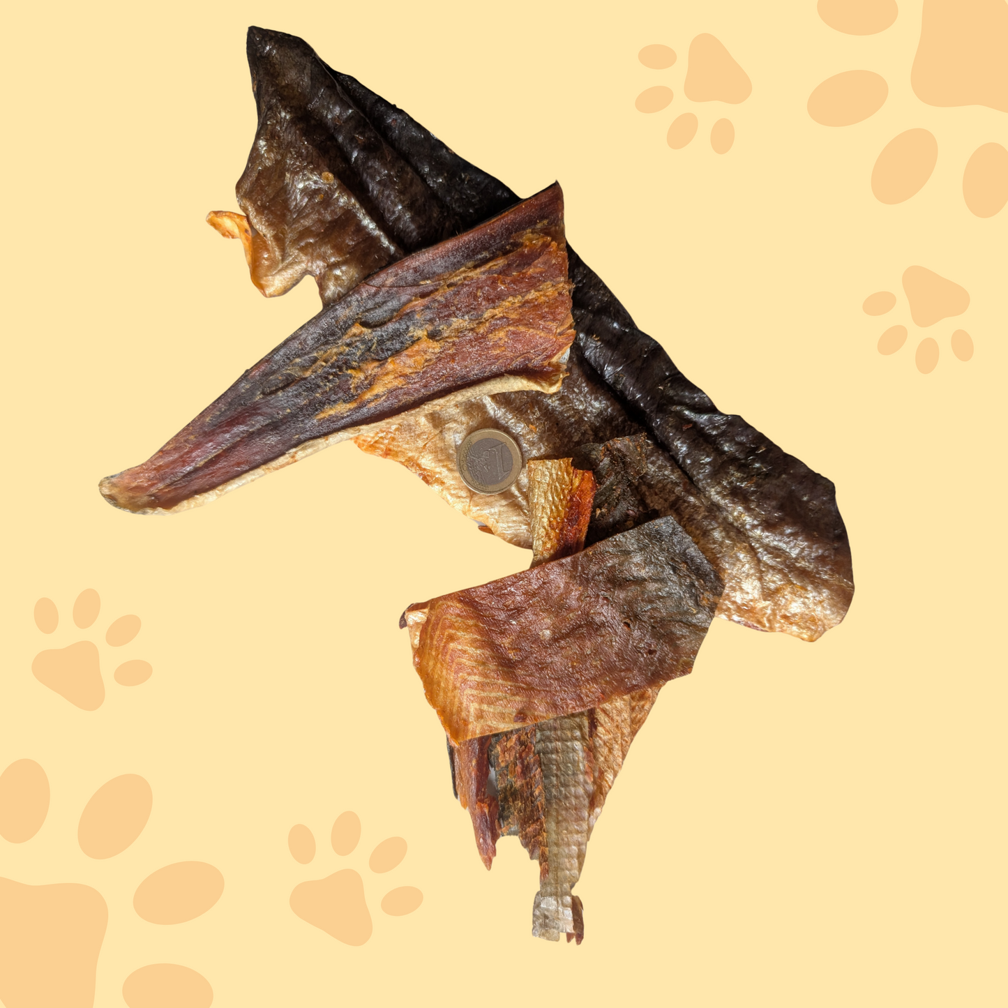 Filet de peau de saumon kéta