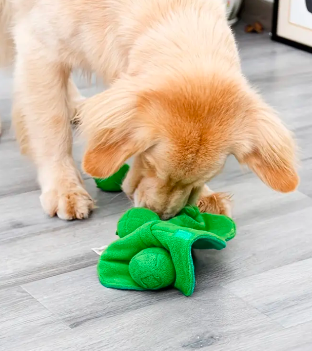 Petit pois de fouille