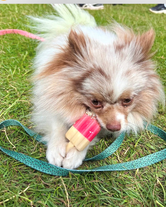 Pup Ice – Rocket Yaourt/Fraise/Banane