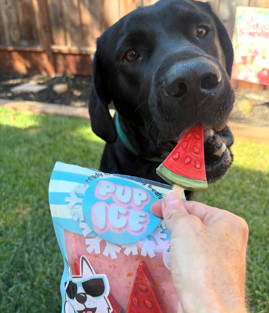 Pup Ice – Sucette Glacée à la Pomme