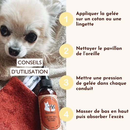 Gelée nettoyante Pot de miel Dexter & Mango