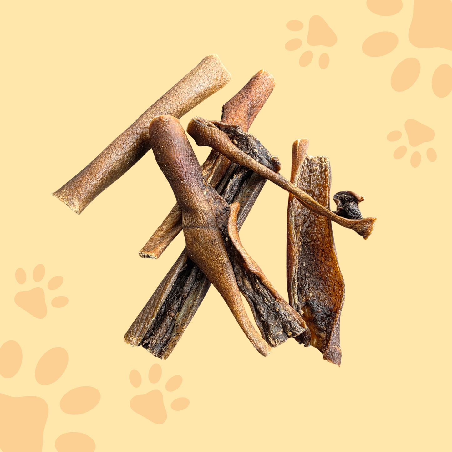 Peau de sanglier 15cm