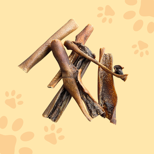 Peau de sanglier 15cm