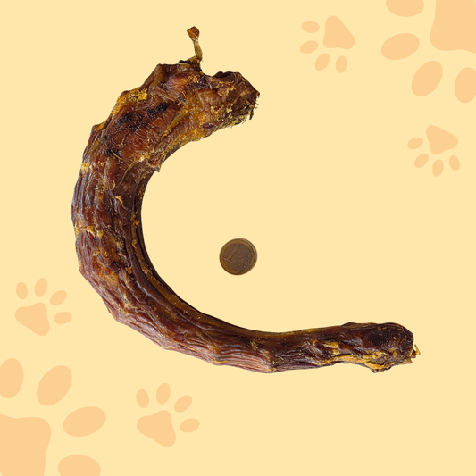 Cou d'oie