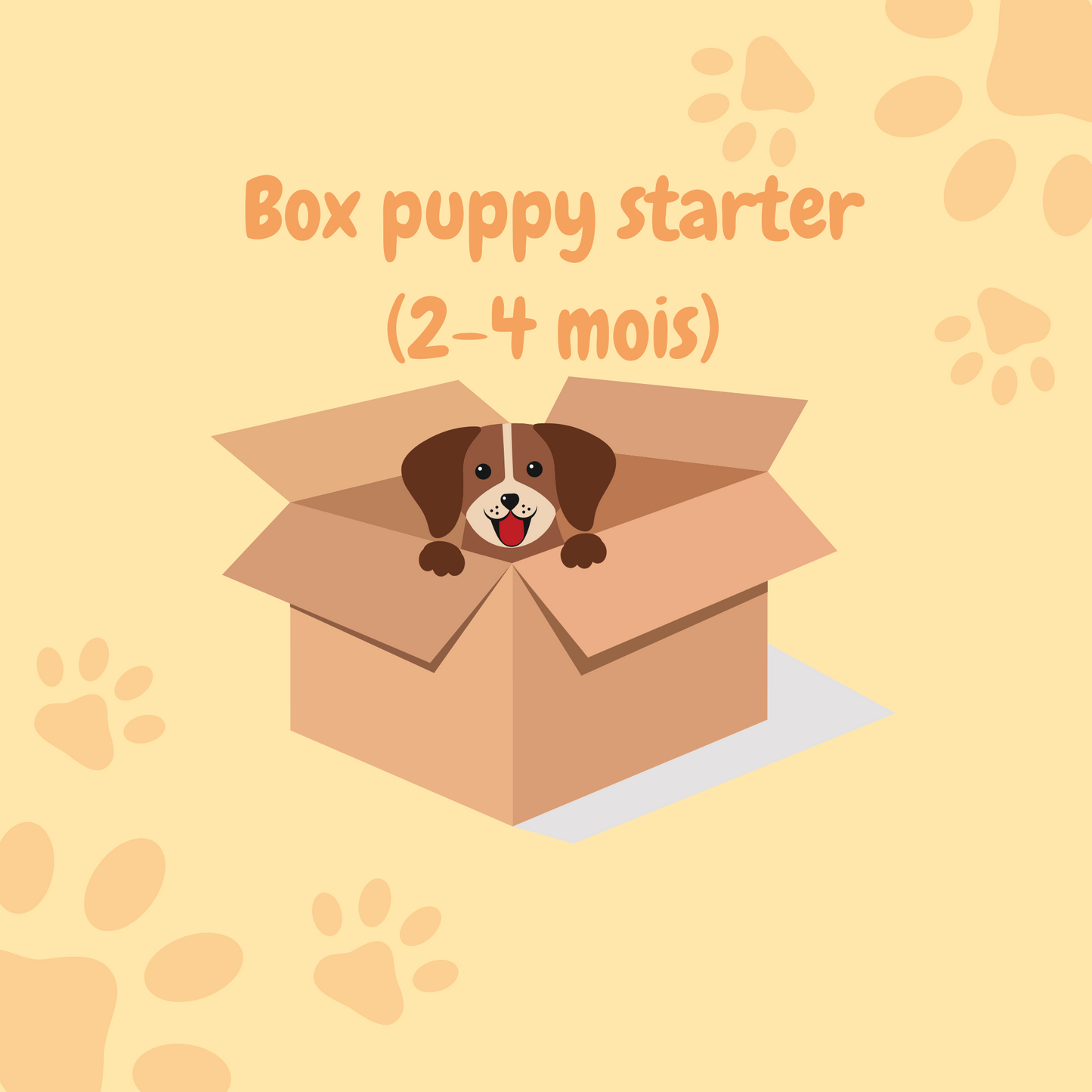 Box puppy starter 2-4 mois