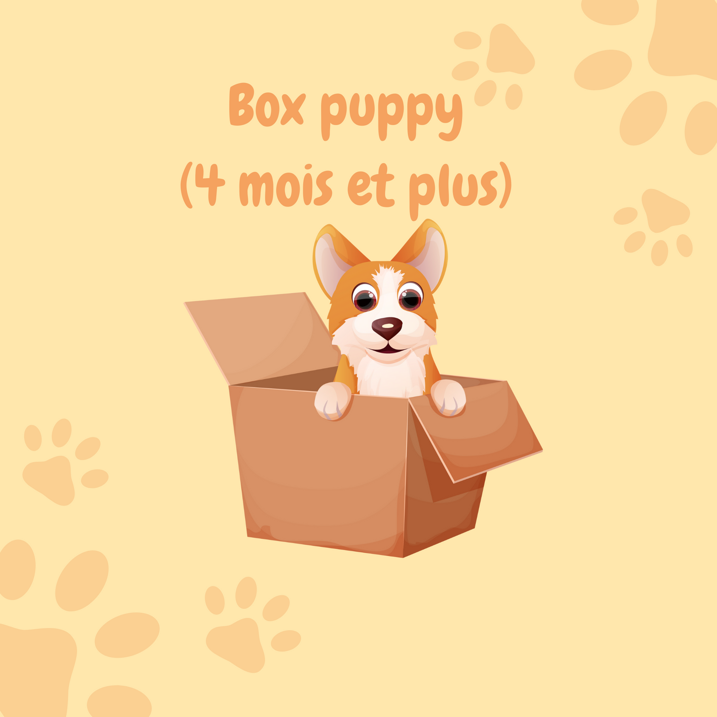 Box puppy 4 mois et plus