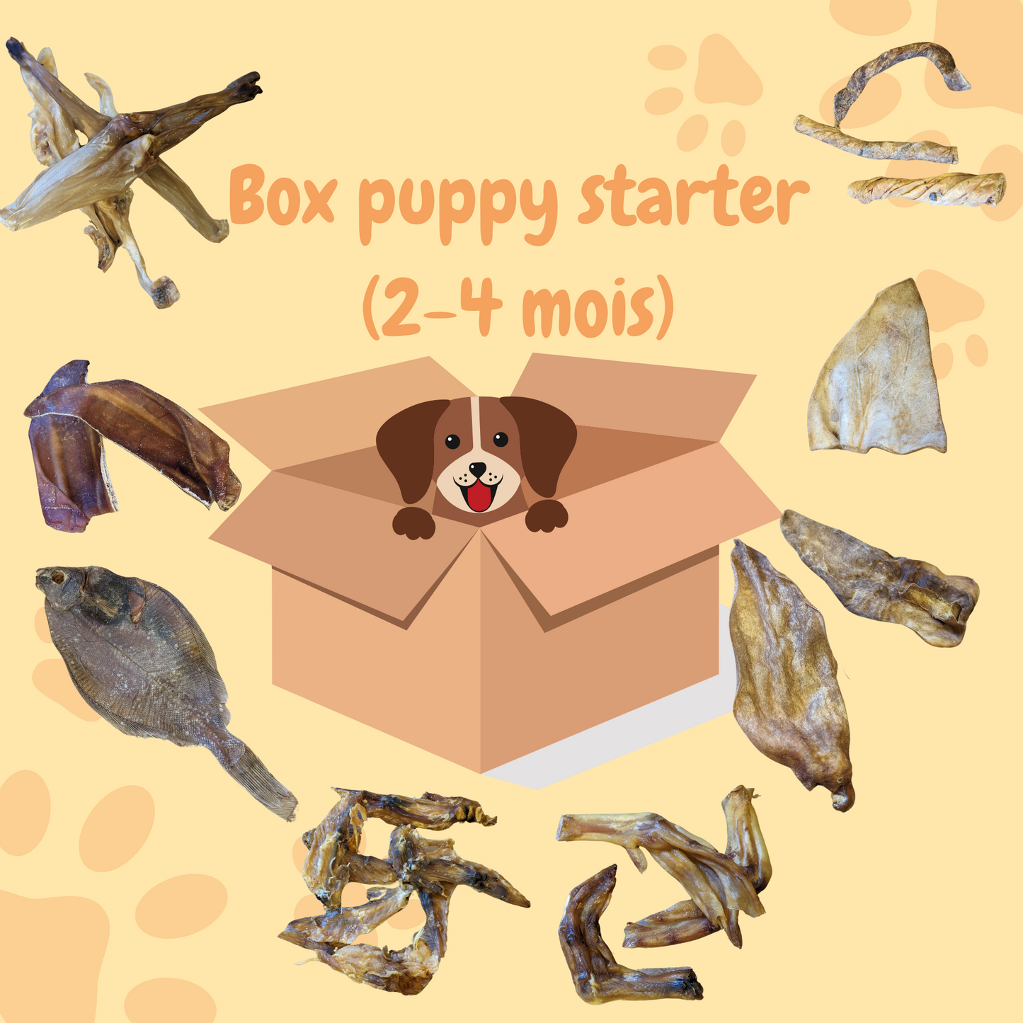 Box puppy starter 2-4 mois