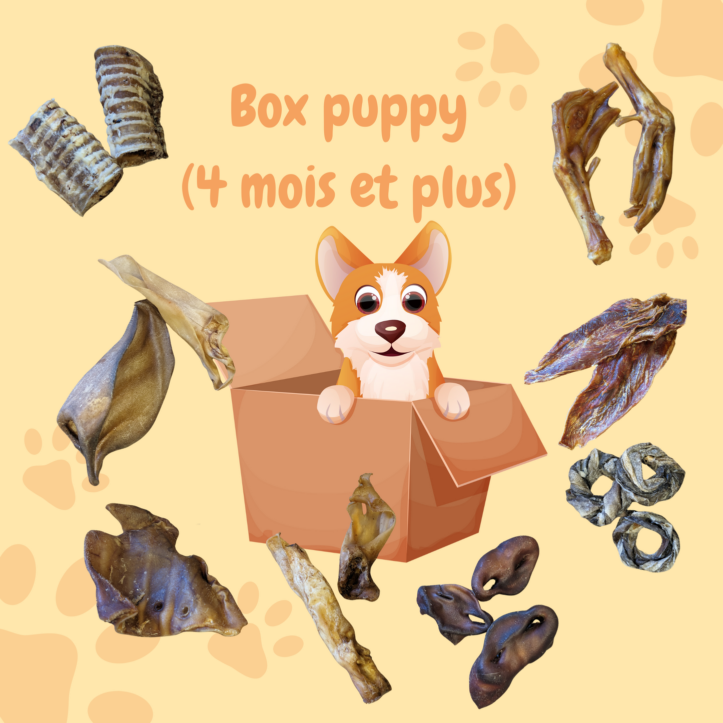 Box puppy 4 mois et plus