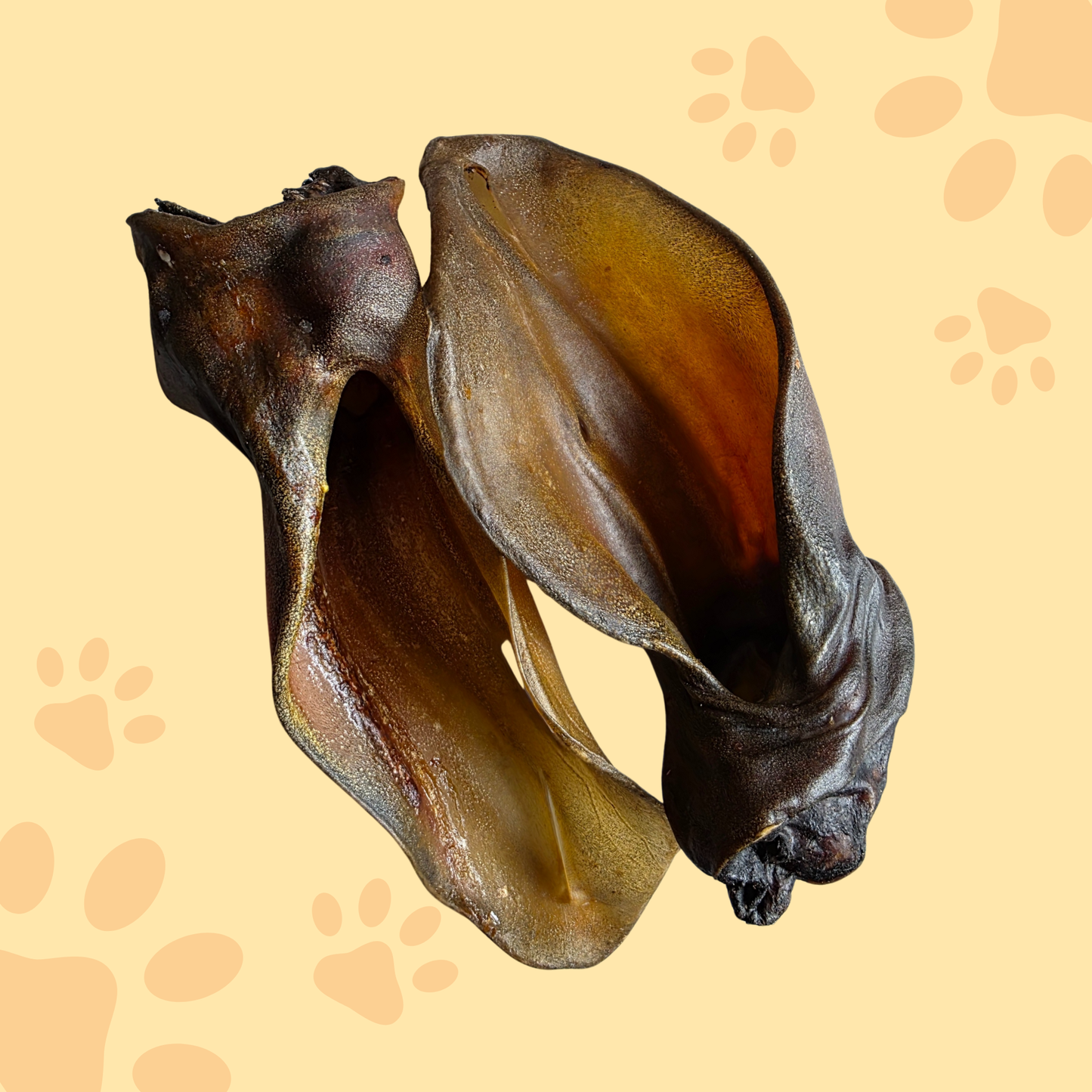 Oreille de boeuf XXL