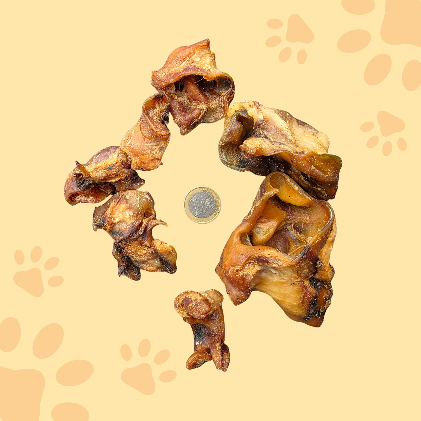 Base d'oreille de porc