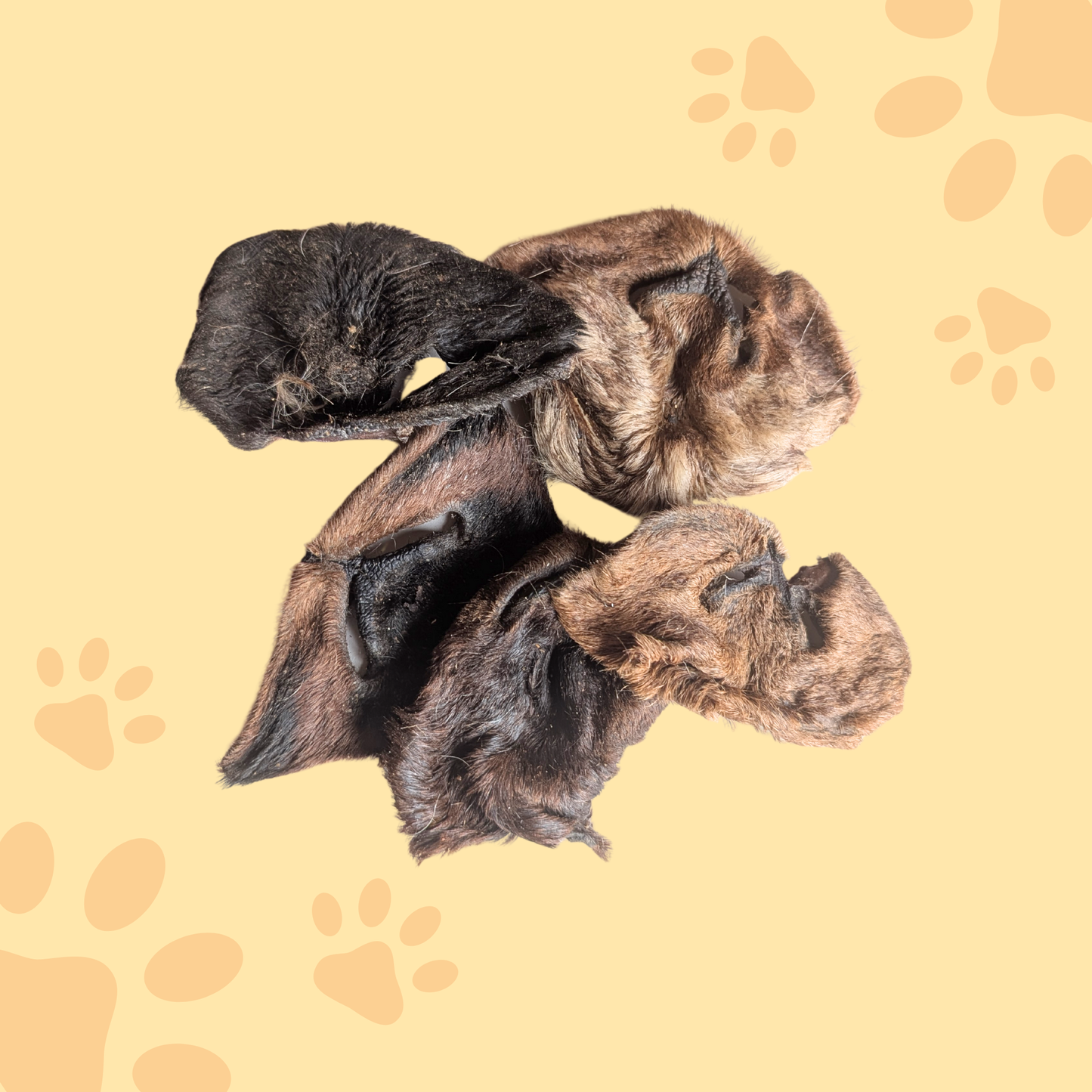 Museau agneau avec poil