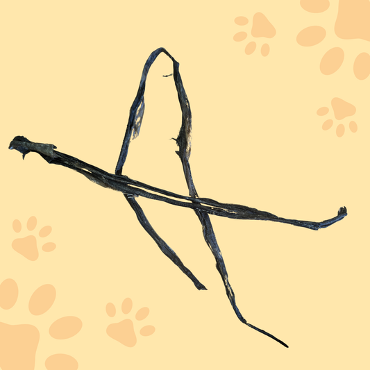 Peau de poisson chat