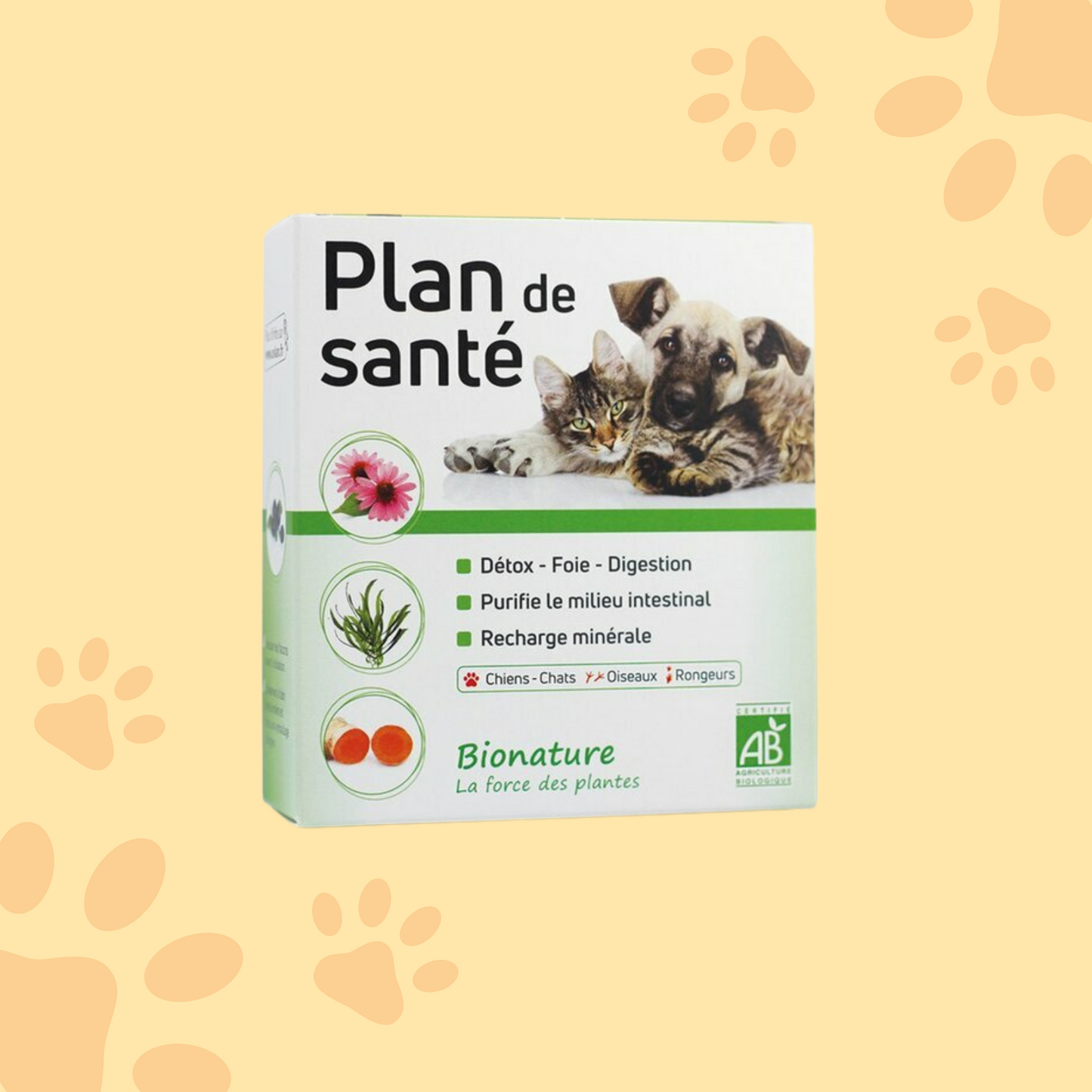 Plan de santé