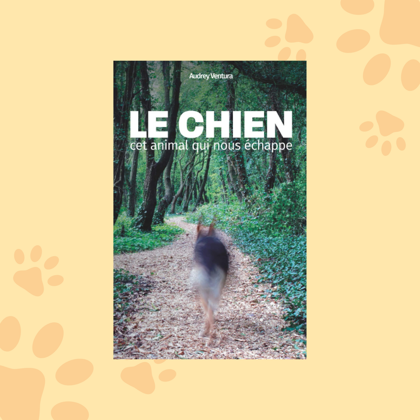 Le chien, cet animal qui nous échappe